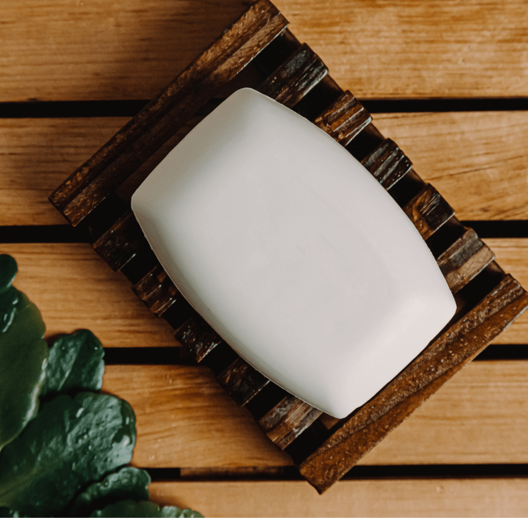 (Sample) Coconut Bar Soap (Copy) (Copy) (Copy)